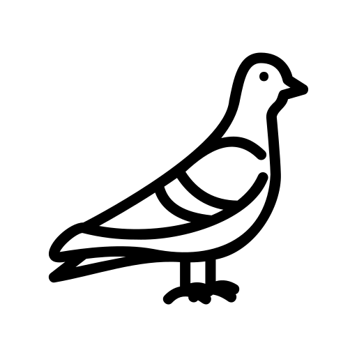 Pigeon Icon