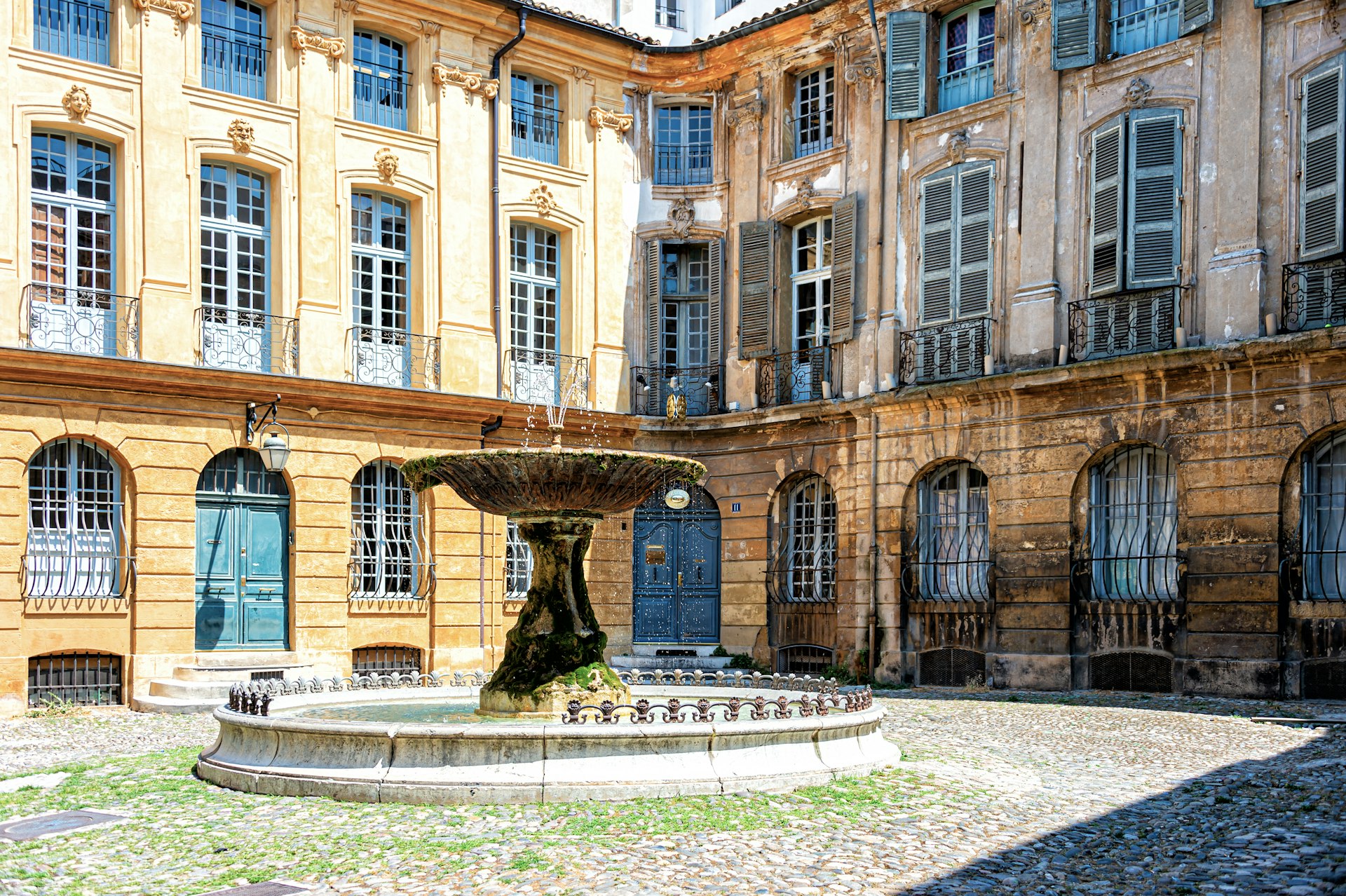 Intervention anti-nuisibles à Salon De Provence